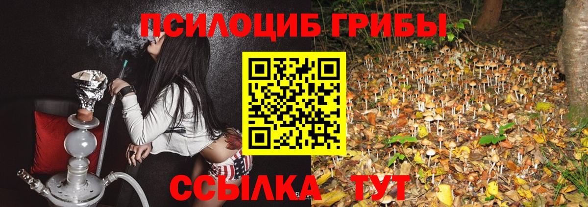 Галлюциногенные грибы ЛСД Ахтубинск